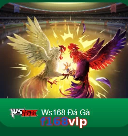 f168vip